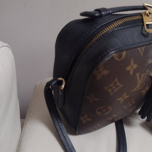 Beautiful and Rare Louis Vuitton Saintonge Noir Camera bag✨ - Picture 12 of 16